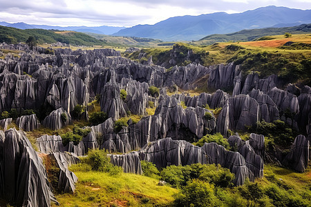 高原石林景观山峰图片