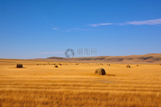 草原的美丽风景图片