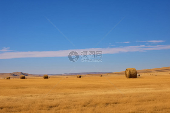 内蒙古草原风景图片