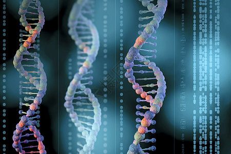 DNA拼贴结构图片