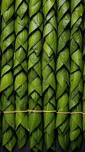 绿色粽子叶子背景图片