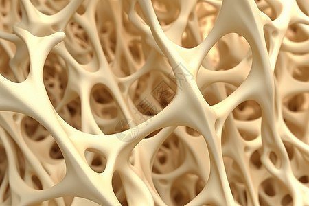 解剖学骨质疏松创意概念图设计图片