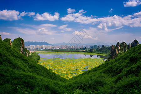 晴空下的自然风景图片