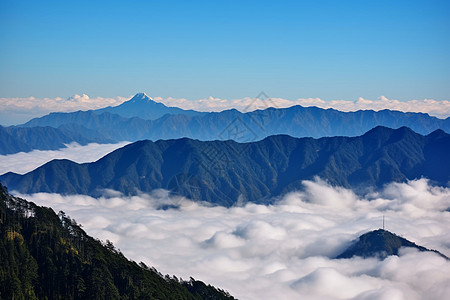 峨眉山的自然景观高清图片