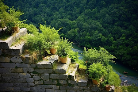 夏天乡村的自然景观背景图片