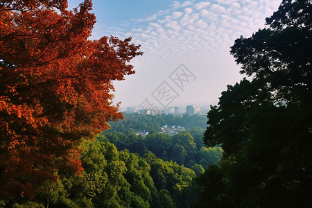 天平山夏季的自然景观高清图片