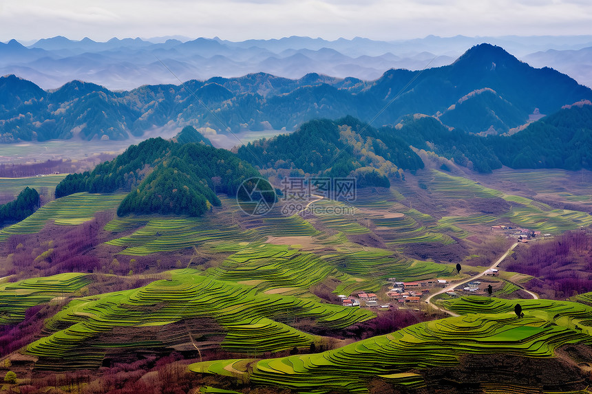 春季梯田景色图片