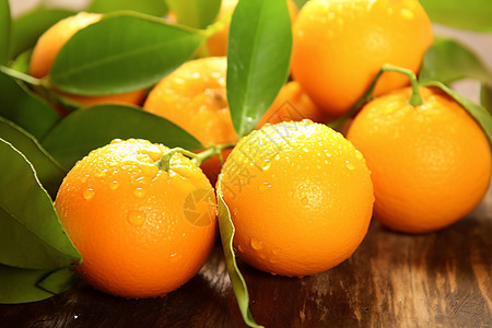 橙子采摘美味的橙子背景