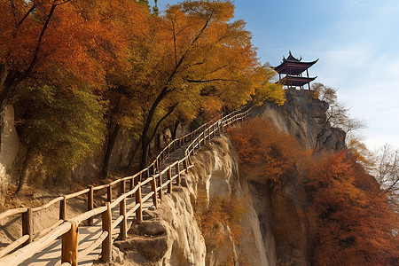 秋日沿山步道景色背景图片