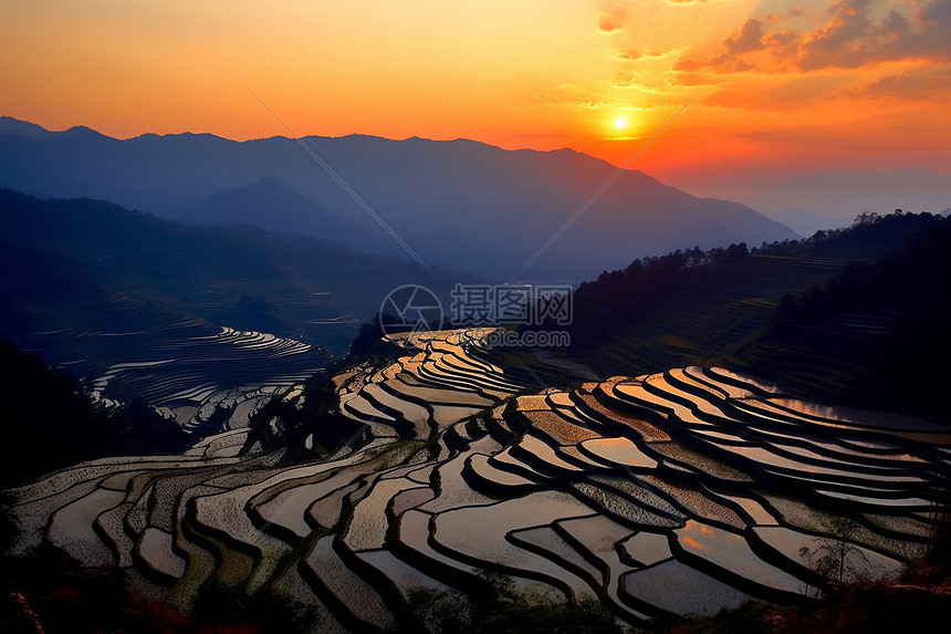 日落时山中的梯田图片