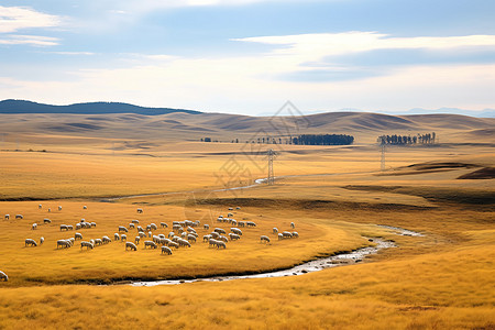 内蒙古草原的风景背景图片