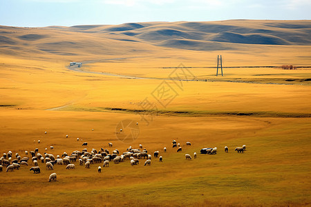 内蒙古草原背景图片