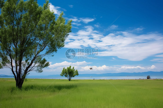 青海湖草原的自然景观图片