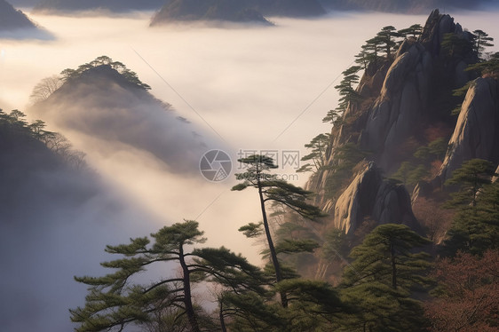 清晨的黄山风景区图片