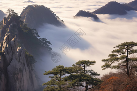 黄山风景区图片