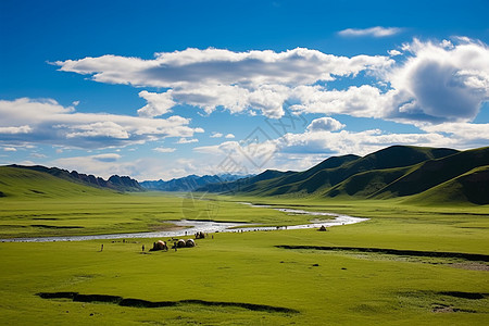 茂密的草地图片