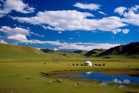 绿油油的草地图片