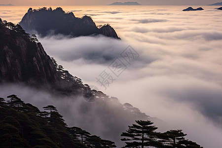 山中的美丽景色图片