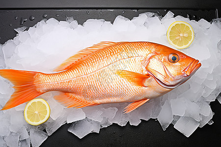 鲍鱼海鲜鲜美上的一条鱼设计图片