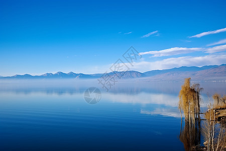 洱海蓝色的湖泊图片