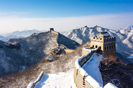 雪地里的图片