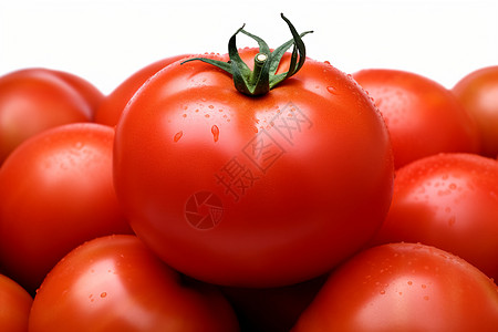 普罗旺斯番茄图片