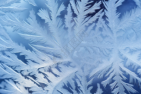 季节性寒冷结晶图片