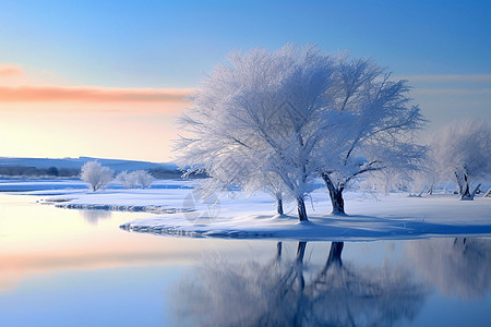 河边树上的霜雪高清图片