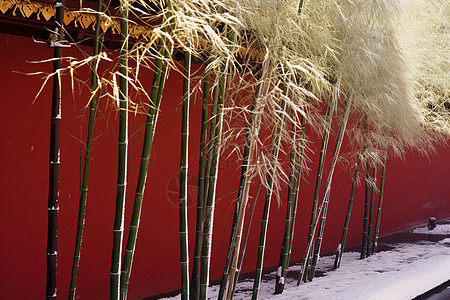 冬天里的红墙绿竹图片