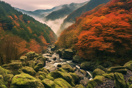 秋天的山大山中的秋天景色设计图片