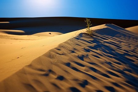 沙漠天空有脚印的沙漠背景