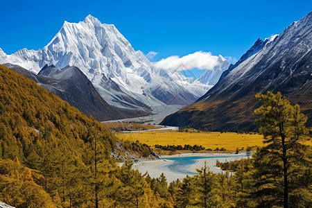 秋天的稻城亚丁唯美壮丽的雪山景观背景