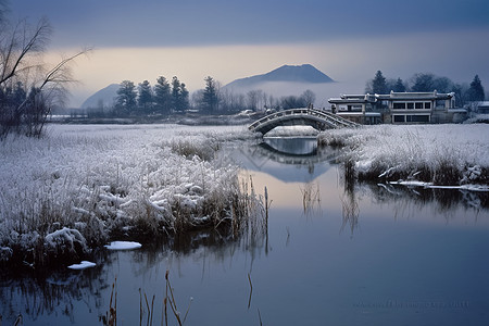 冬天南湖雪景图片