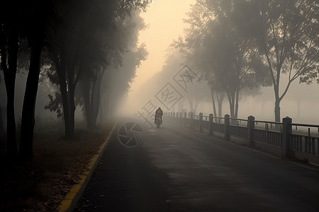 道路上骑车的人图片