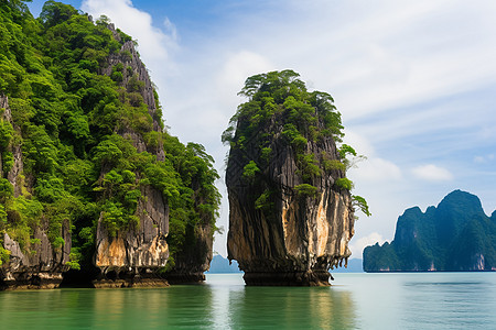 湖面中的岩石和植物图片