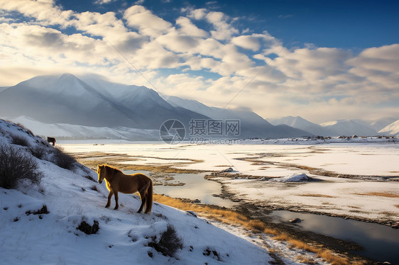 雪域高原图片