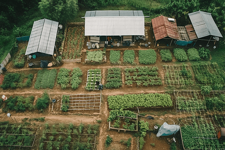 农村种植蔬菜高清图片