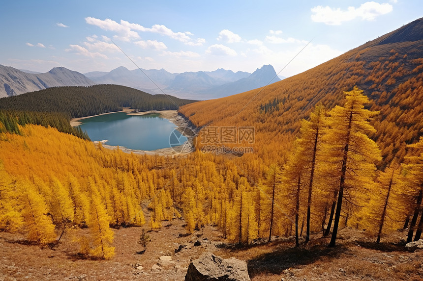 秋天金色的山脉风景图片