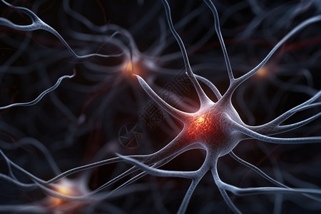 大脑神经元突触细胞图片