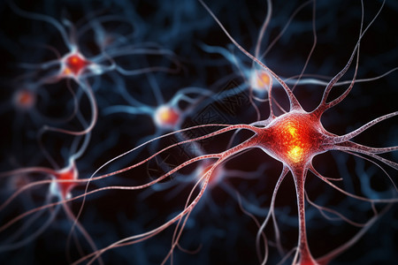 红色刺绣大脑神经元细胞背景