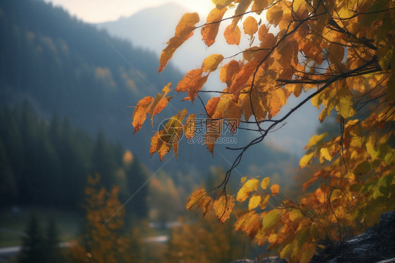 山林的秋天图片