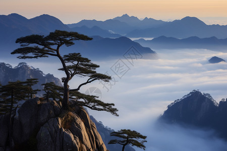 安徽美景美丽的黄山背景