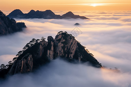 云海山峦松树图片