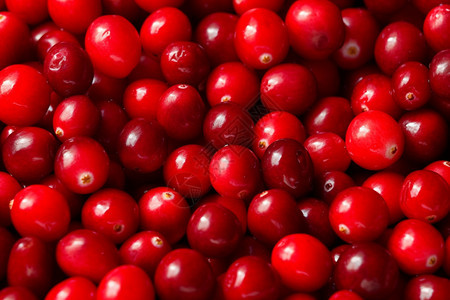 美味的红色蔓越莓图片