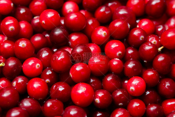 红色的水果蔓越莓图片