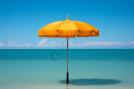 黄色雨伞海滩上的遮阳伞背景