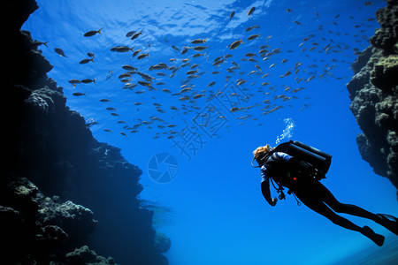 蓝色海洋中的潜水员图片