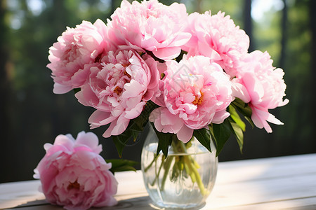 花瓶里的粉色牡丹图片