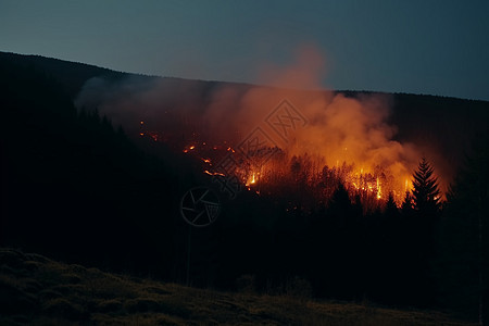 燃烧的森林大火背景图片