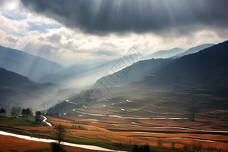 日光下的风景图片